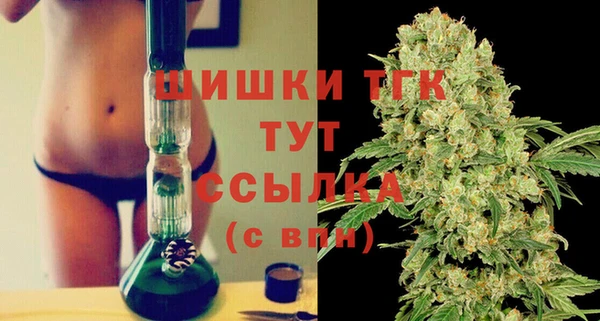 Альфа ПВП Бугульма