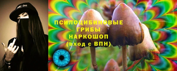 ECSTASY Богородск